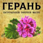 ГЕРАНЬ эфирное масло