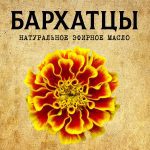 БАРХАТЦЫ эфирное масло
