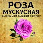 РОЗА Мускусная масляный экстракт