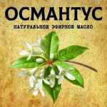 ОСМАНТУС эфирное масло