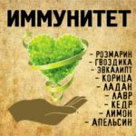 "ИММУНИТЕТ" Авторский купаж эфирных масел