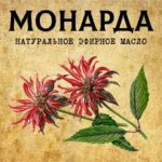 МОНАРДА эфирное масло