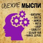 "СВЕЖИЕ МЫСЛИ" Авторский купаж эфирных масел