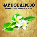 ЧАЙНОЕ ДЕРЕВО эфирное масло