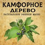 КАМФОРНОЕ ДЕРЕВО эфирное масло