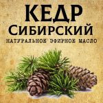 КЕДР Сибирский эфирное масло