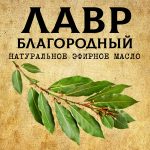 ЛАВР эфирное масло