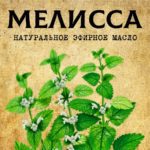 МЕЛИССА эфирное масло