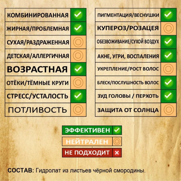 ЧЁРНАЯ СМОРОДИНА. Гидролат — изображение 2