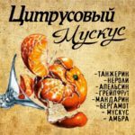 "ЦИТРУСОВЫЙ МУСКУС" Авторский купаж эфирных масел