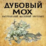 МОХ Дубовый масляный экстракт