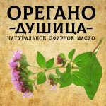 ДУШИЦА / ОРЕГАНО эфирное масло