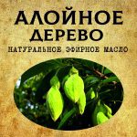 АЛОЙНОЕ ДЕРЕВО эфирное масло