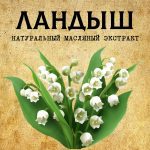 ЛАНДЫШ масляный экстракт