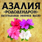 АЗАЛИЯ -Рододендрон- эфирное масло