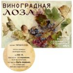 "ВИНОГРАДНАЯ ЛОЗА" Авторский купаж эфирных масел