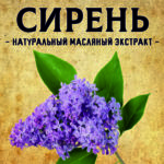 СИРЕНЬ масляный экстракт