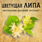 Цветущая ЛИПА масляный экстракт