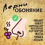 "Верни ОБОНЯНИЕ" Авторский купаж эфирных масел