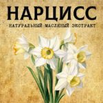 НАРЦИСС масляный экстракт