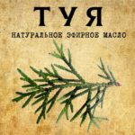 ТУЯ эфирное масло