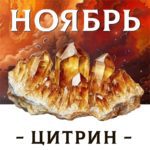 НОЯБРЬ - ЦИТРИН - Авторский купаж эфирных масел