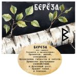 "БЕРЁЗА" Авторский купаж эфирных масел