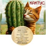 "КАКТУС" Авторский купаж эфирных масел