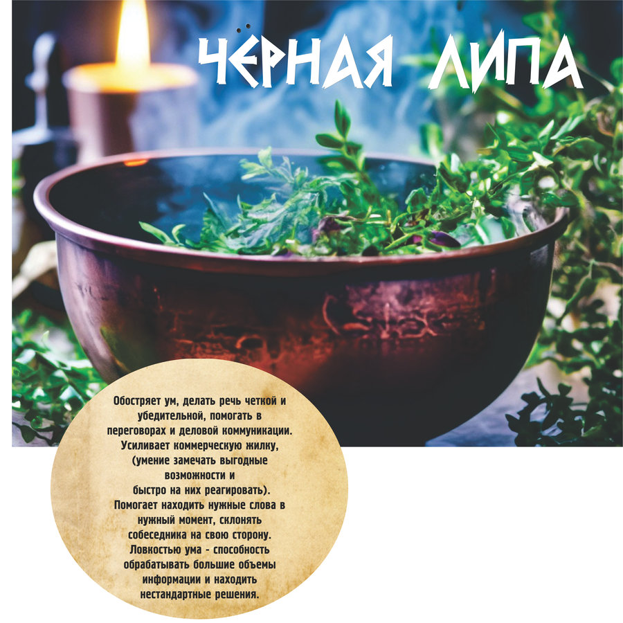 lipasher "Чёрная липа" Авторский купаж эфирных масел — изображение 1