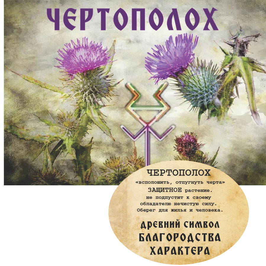 shertopol "ЧЕРТОПОЛОХ" Авторский купаж эфирных масел — изображение 1
