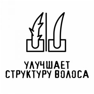 VV4